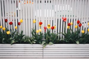 Fence Painting in Fort Myers